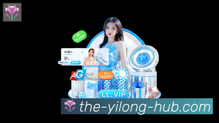 对战数据统计